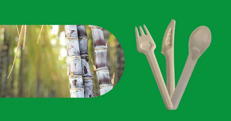 Eco-Friendly Bagasse Products - Cutlery