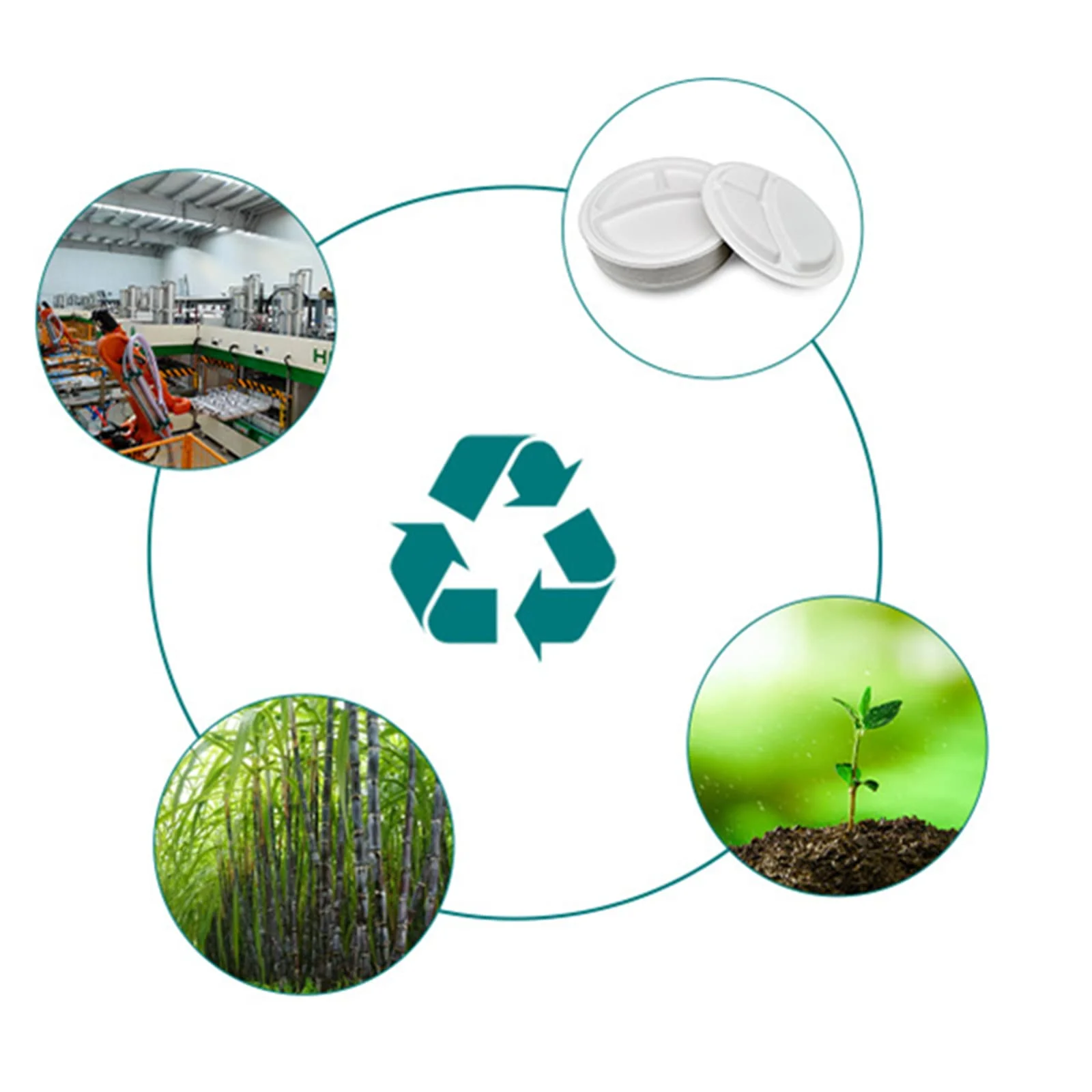 The Benefits of Choosing Bagasse Products