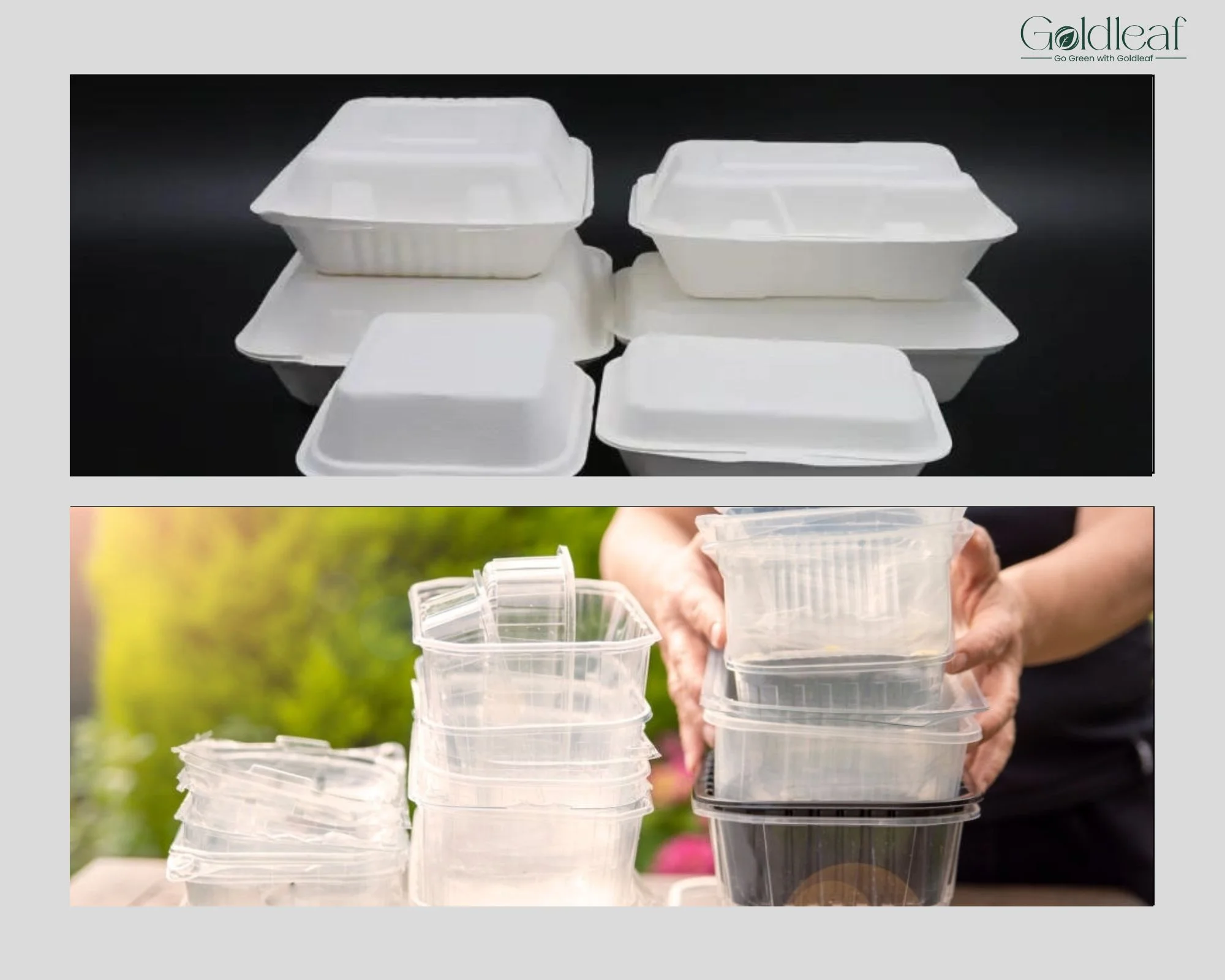 The Environmental Benefits of Choosing Bagasse Products Over Traditional Packaging Options