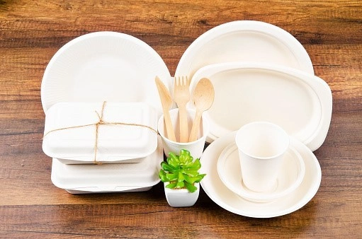 Eco-Friendly Disposable Bagasse Products