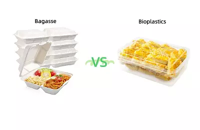 Bagasse vs. Plastic