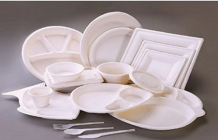 Popular Uses of Bagasse Products