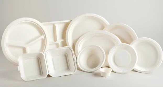 Applications of Bagasse Products