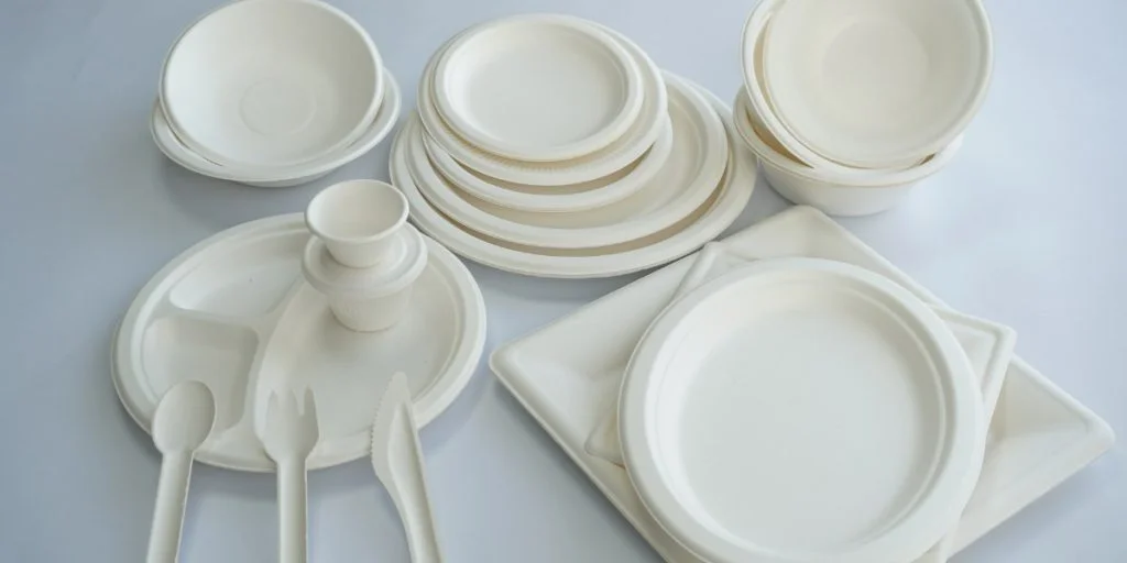 Bagasse Tableware: An Eco Revolution in Waiting