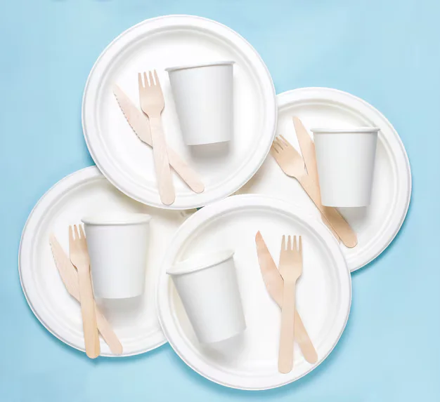 Top Reasons Caterers Prefer Bagasse Tableware