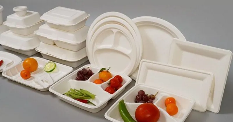 What is Bagasse Tableware?