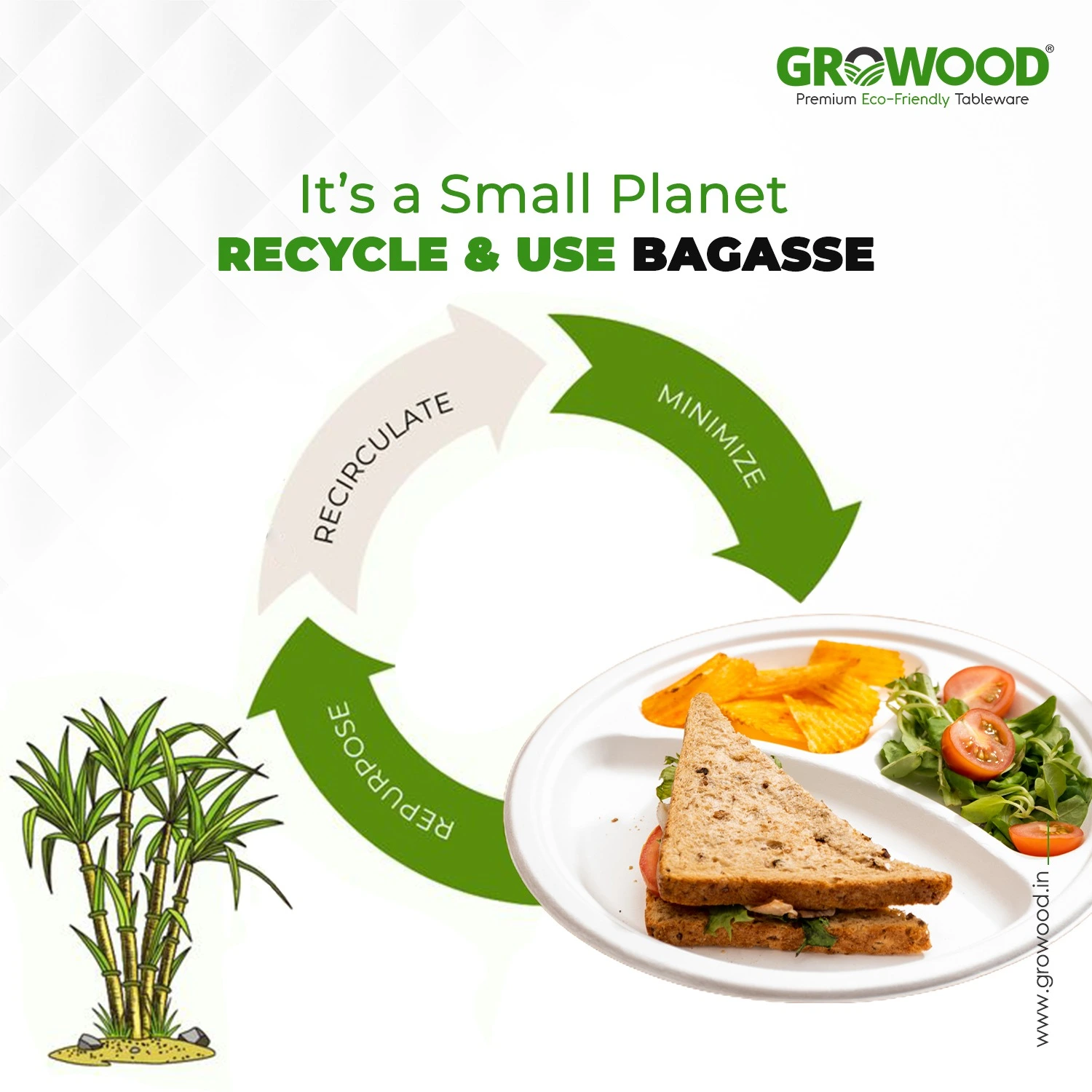 Common Myths About Bagasse and The Truth Behind Them