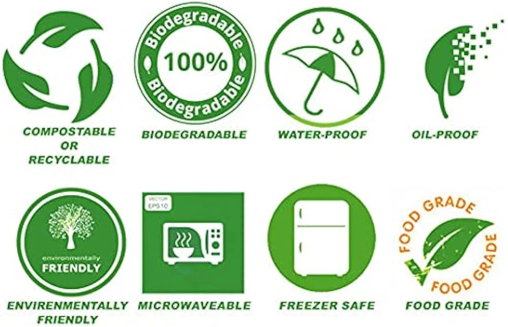 Additional Insights: Benefits of Bagasse Products