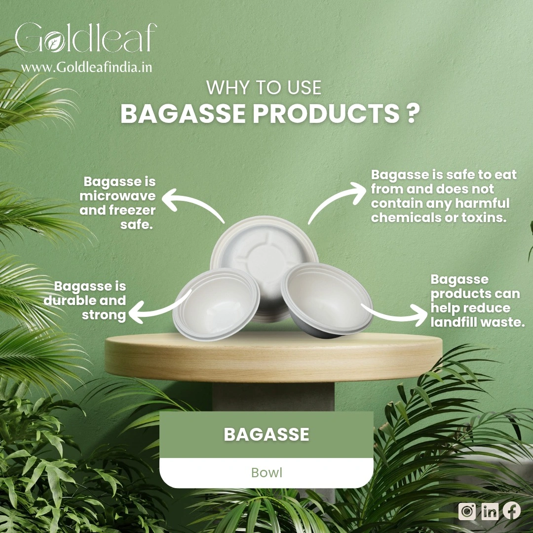 Bagasse Disposable Products