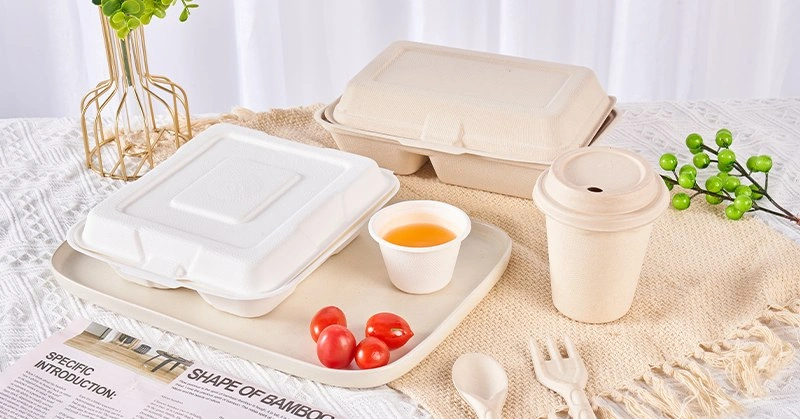 Sugarcane Bagasse Tableware Products