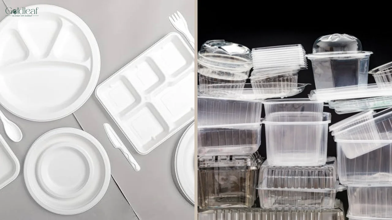 Bagasse vs Traditional Disposables