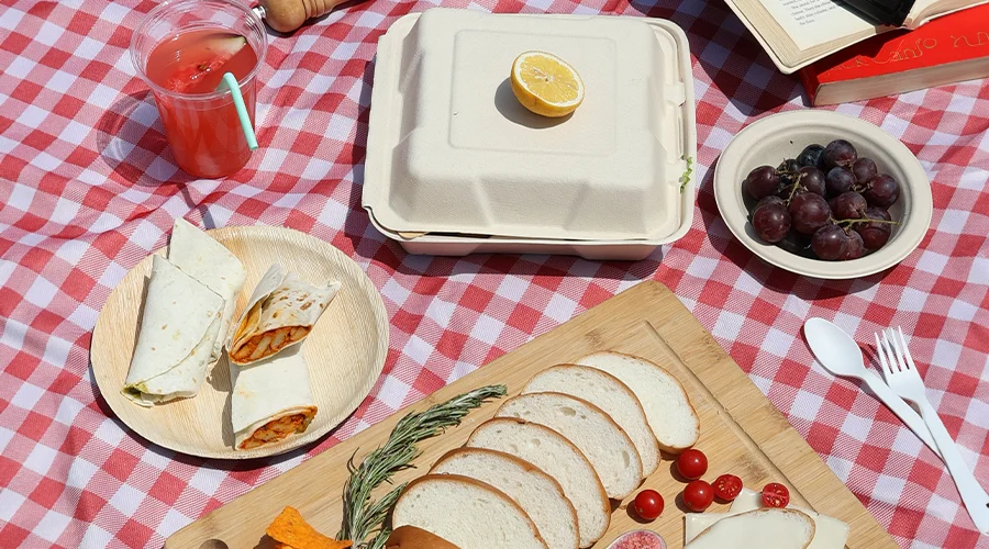 Why Is Leak-Proof Disposable Tableware Important for Picnics