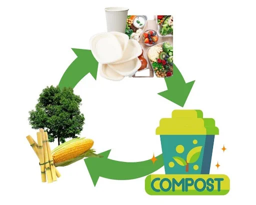 How to Compost Bagasse at Home (Proper Method)