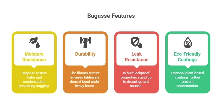 Key Features of  Bagasse products