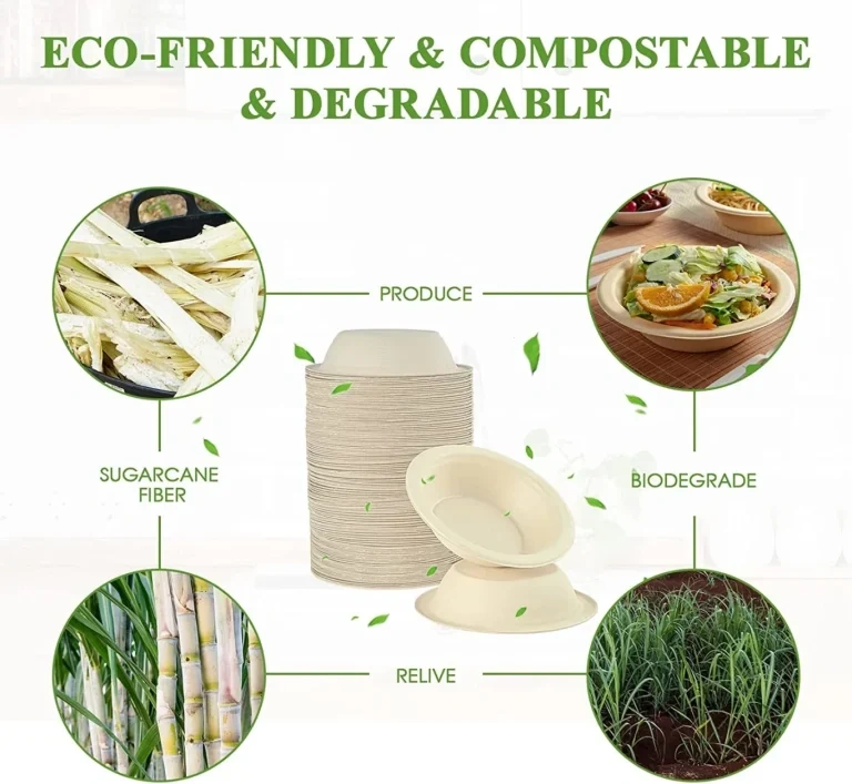 What Is Bagasse Packaging?
