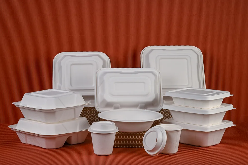 Range of Bagasse Products Ideal for Hospital Cafeterias