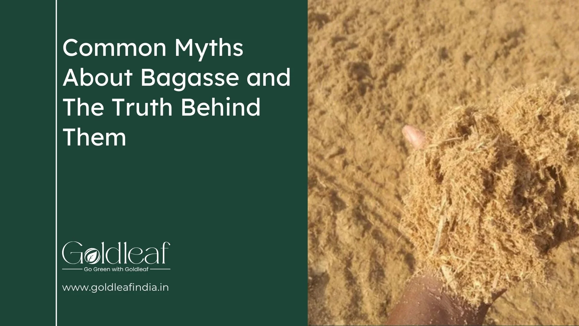 Common Myths About Bagasse and The Truth Behind Them