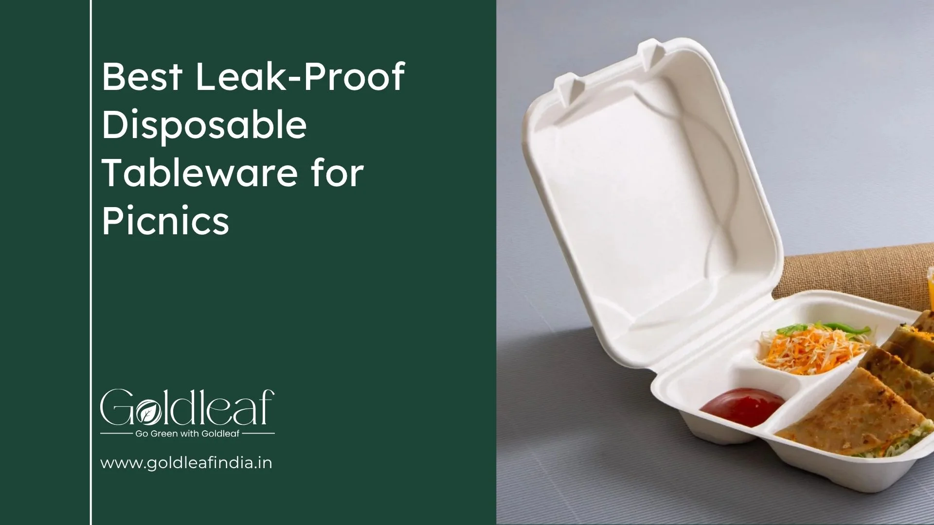 Best Leak-Proof Disposable Tableware for Picnics